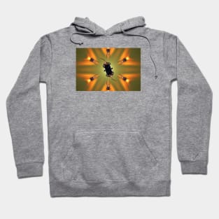 Extraterrestrials / Swiss Artwork Photography Hoodie